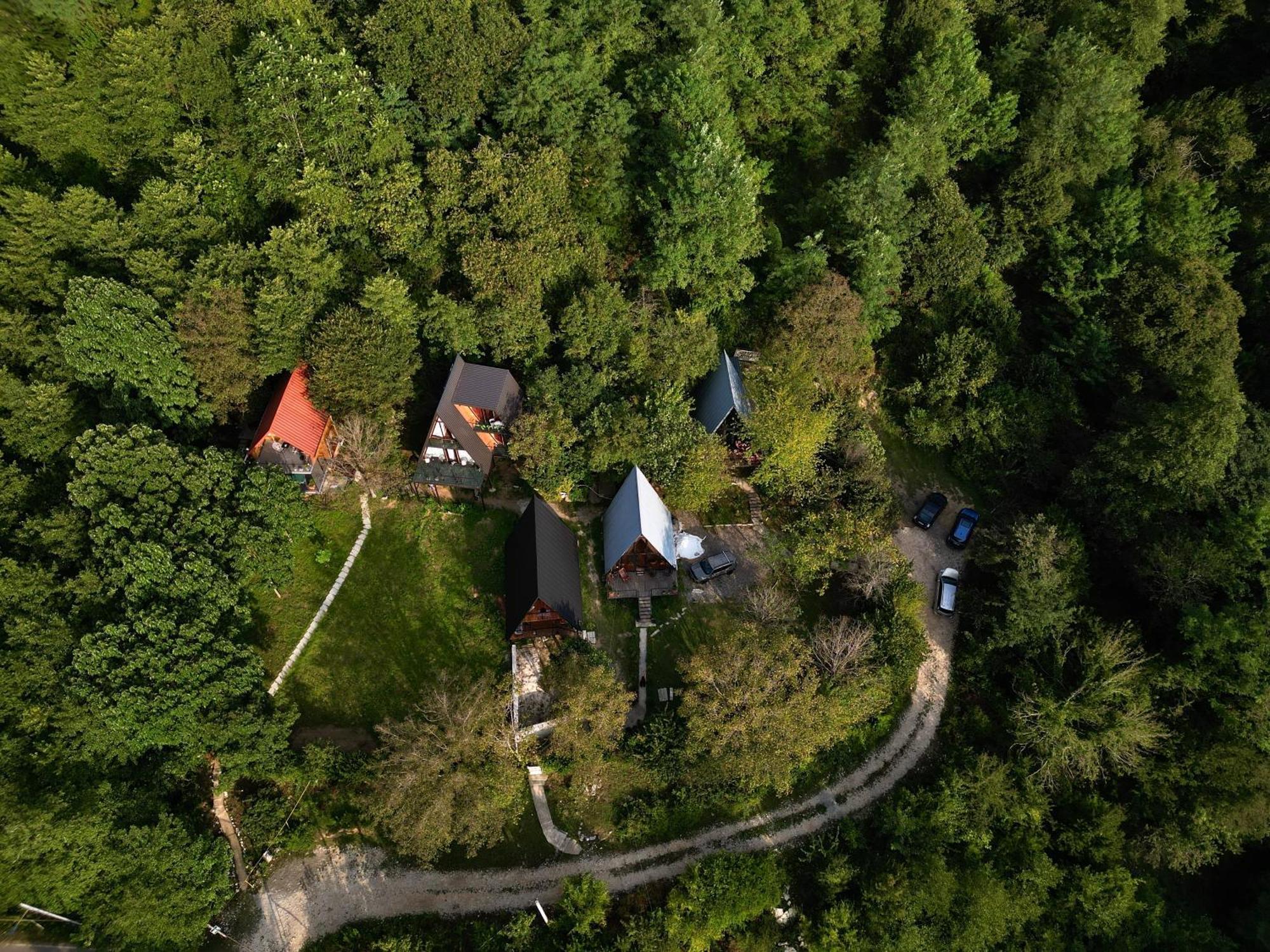 Sataplia * Kutaisi